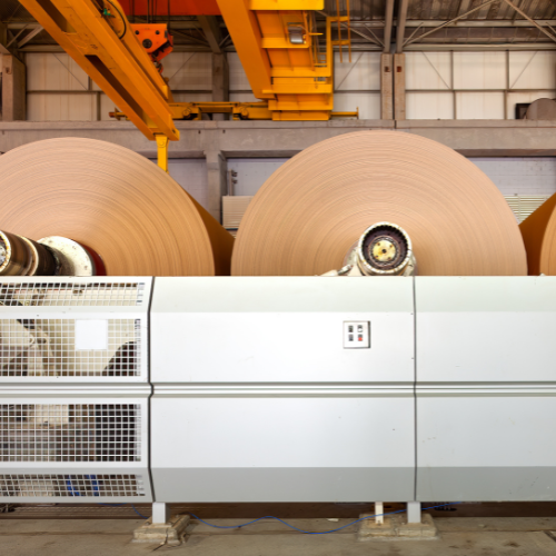 paper mill with mother reel within converter machine